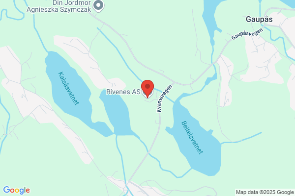 Rivenes Bjørn