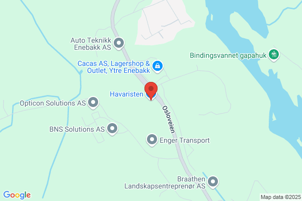 Havaristen