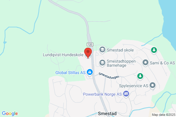 Lundqvists Torleif Hundekurs