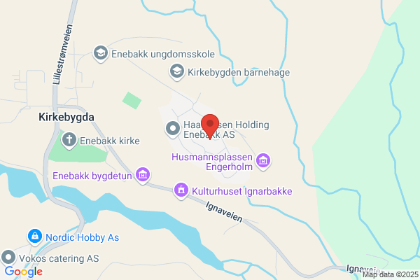 Studiovigdis.com