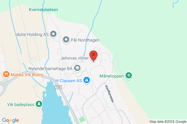 Våg Homeopati Reidun Lübbe