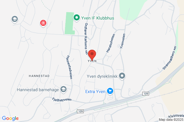 Østfold Limousinutleie